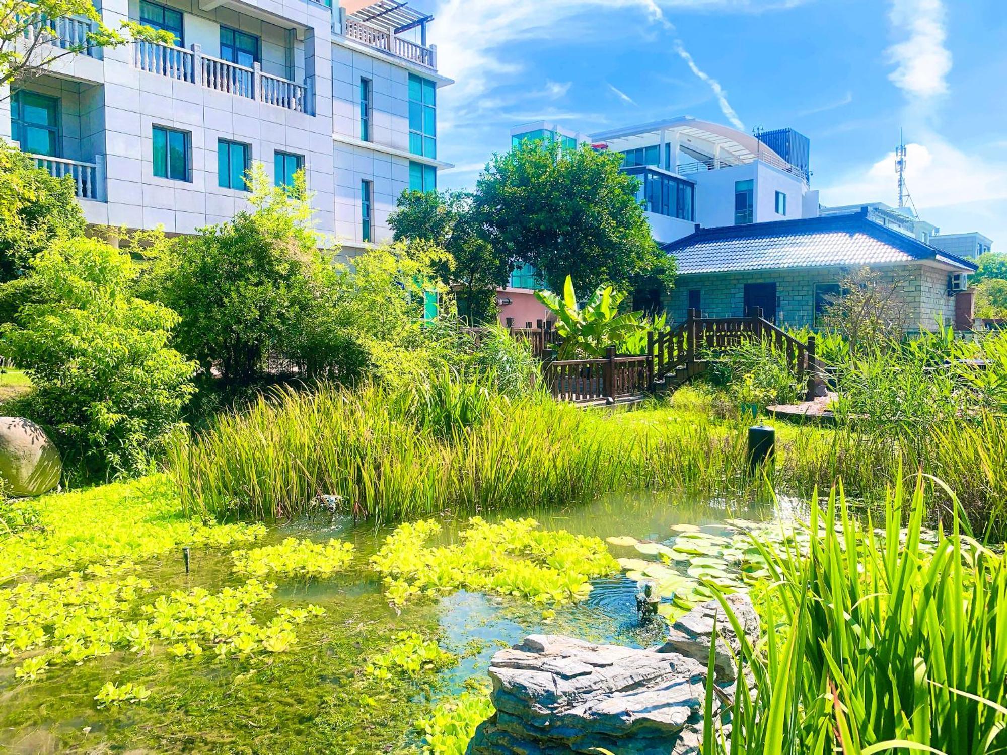 Shushe Hotel Σανγκάη Εξωτερικό φωτογραφία